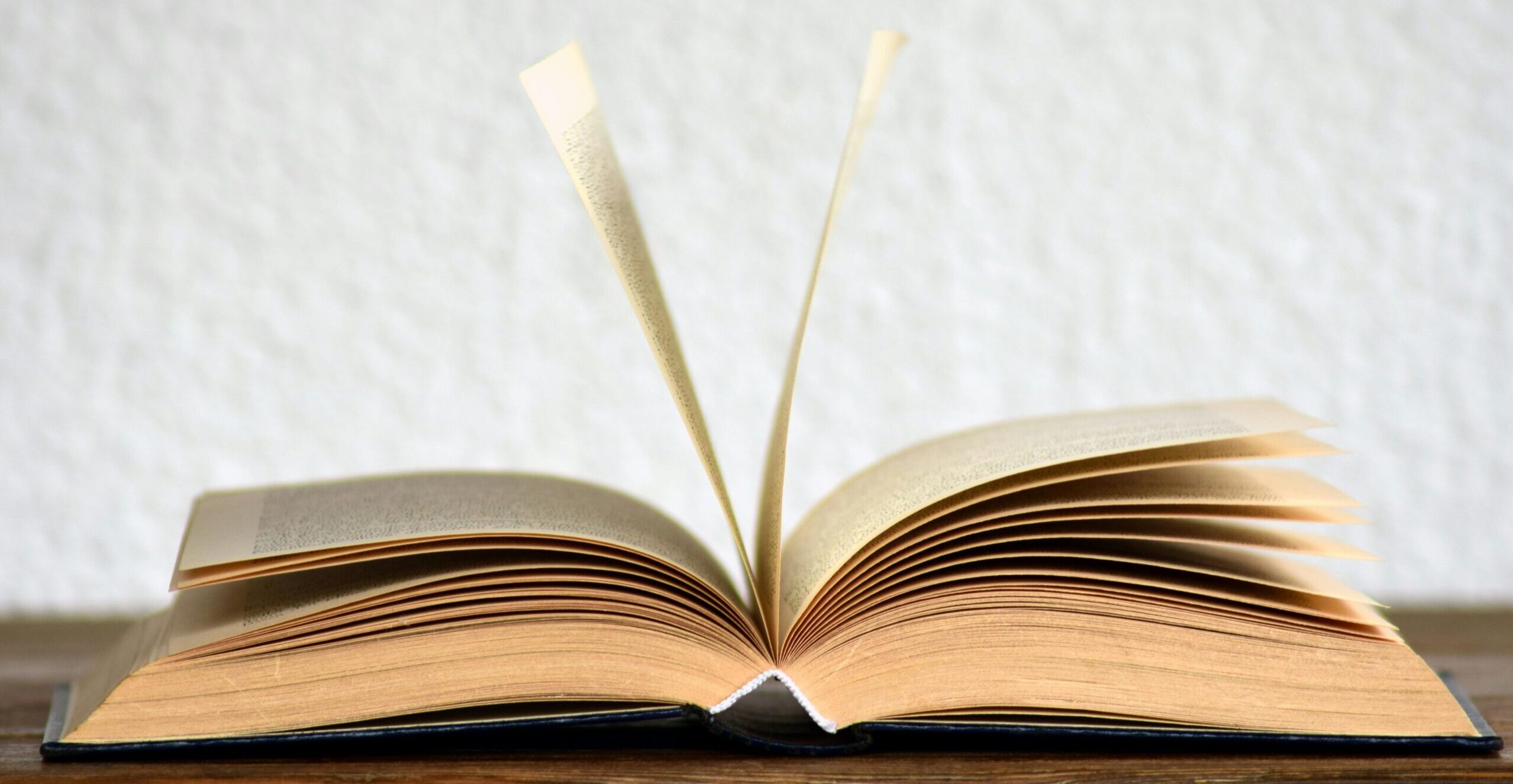 pexels photo 415071 415071